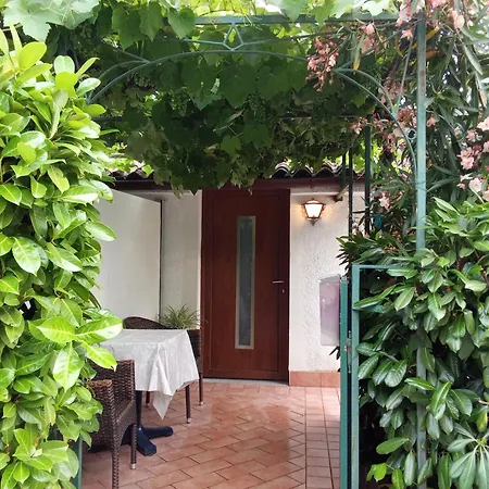 Vilfanova *