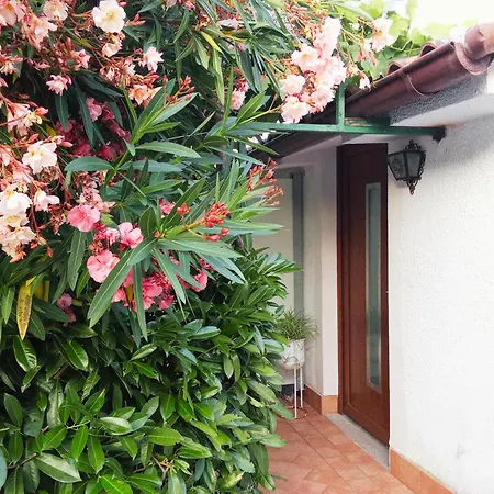 Vilfanova Apartamento